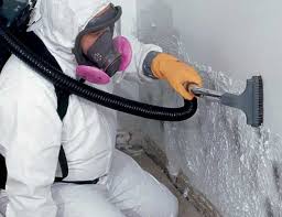 Mold Prevention & Removal